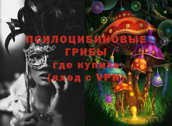 PSILOCYBIN Балахна