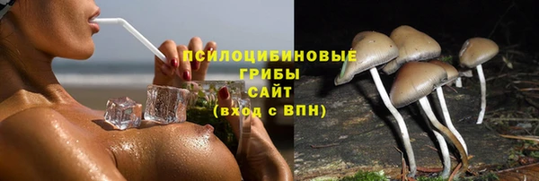 крисы Балабаново