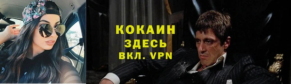 амф Галич